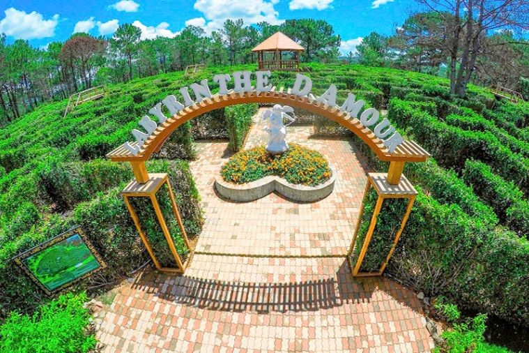 Thung Lung Tình Yêu - Đà Lạt